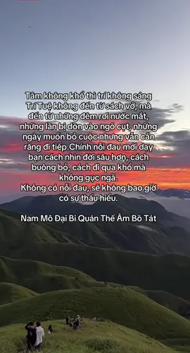 Tâm không khổ thì trí không sáng Trí Tuệ không đến từ sách vở, mà đến từ những đêm rơi nước mắt, những lần bị dồn vào ngõ cụt, những ngày muốn bỏ cuộc nhưng vẫn cắn răng đi tiếp.Chính nỗi đau mới dạy bạn cách nhìn đời sâu hơn, cách buông bỏ, cách đi qua khổ mà không gục ngã. Không có nỗi đau, sẽ không bao giờ có sự thấu hiểu. Nam Mô Đại Bi Quán Thế Âm Bồ Tát#tamtrang #tinhtam #chualanh 