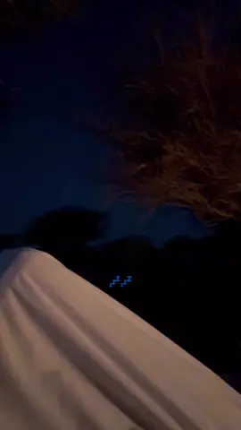 #foryou #fyp #explore #الشعب_الصيني_ماله_حل😂😂 #مالي_خلق_احط_هاشتاقات 