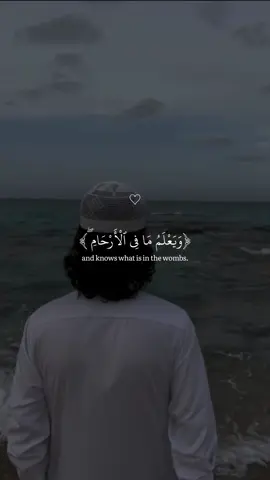 ارح سمعك - إسلام صبحي - صلوا علي النبي محمد صلي الله عليه وسلم - #صلوا_علي_رسول_الله #قران #إسلام_صبحي #fyp 