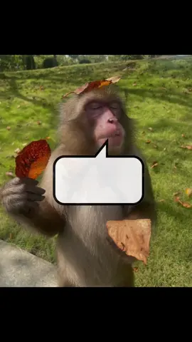 é estranho  #vida #filosofia #limerence #corecore #dexter 