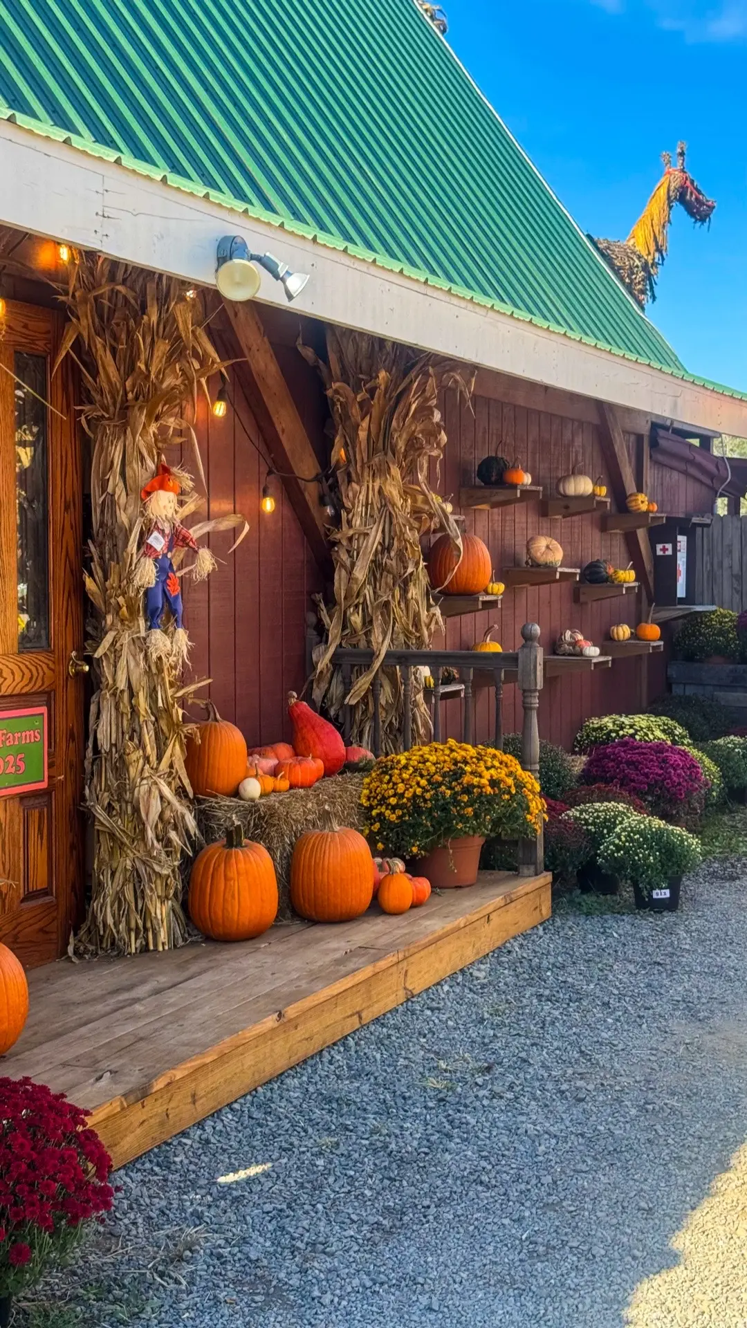Pumpkin patch day #pumpkinpatch #coxfarms #fallfestival #autumn 