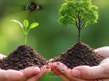 کہ غواڑی قوی اووسی پہ یوازی زان مبارزہ زدہ کہ #pashtopoetry #pashtolines #pashtosong #viralvideos #tranding 