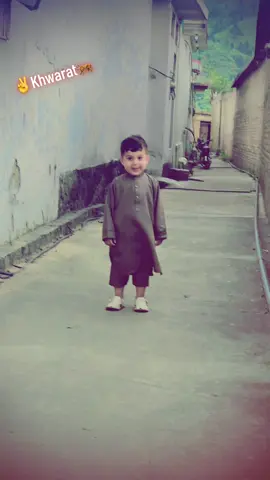 #Hkخان ✌️kaPan Pa trakh ke da syaly mydan la zama marge ya ma Raza dar zama #fallwars💕😘 #100kviews #anfrezzmyaccount🙏 #foryoupage @👑SADIQ❤️‍🔥KHAN👑 @🦁A L O N E🥹 @⚘FÂŘØØØ⚘🍾ĶHĄŃ🍾 @Sahil khan 🦅333🦅 @☠IBAD000☠🦅333🦂 