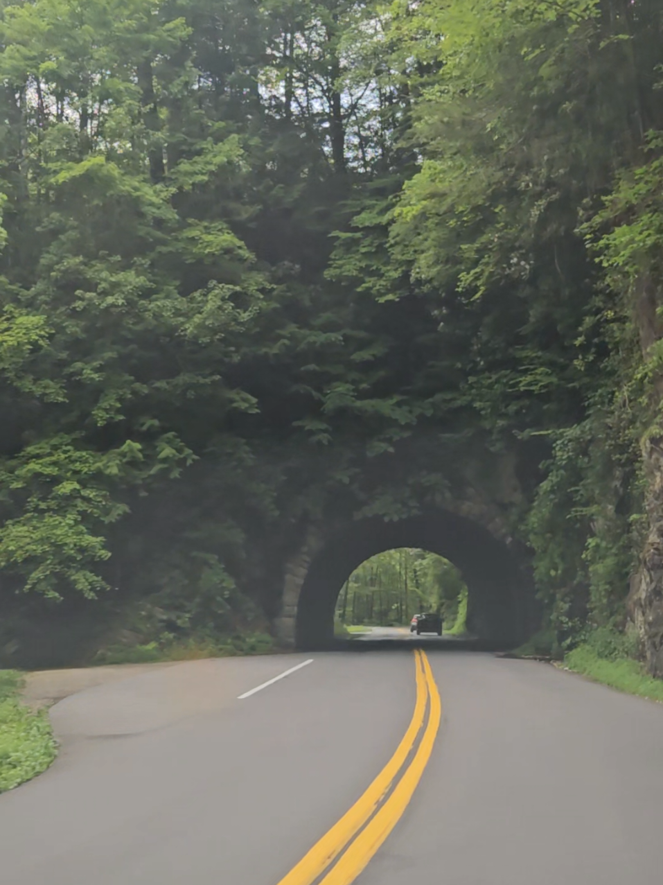 Give me oldies 🎶 anyday over this mess now days. #music #musictok #song #songs #songlyrics 