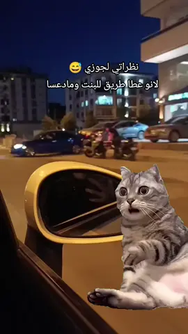 #Meme #MemeCut #CapCut #fyp #اعادة_النشر🔃 