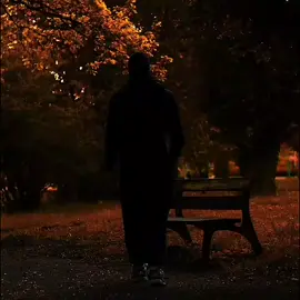 💔 Only Allah knows what my heart hides.  #TrustAllah #Faith #besilentofficial #fyp 