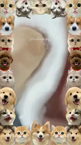 Skin cleansing & dispel acne #fyp #foryou #fypシ #pimple #satisfyingvideo #viral #skincare #skincare #ingrowntoenail #pedicure #2025