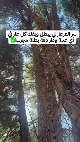 #منبع_الحكمة #شيخ_منبع_الحكمة #وصفات_مجربة #فرنسا🇨🇵_بلجيكا🇧🇪_المانيا🇩🇪_اسبانيا🇪🇸 #اسبانيا🇪🇸_ايطاليا🇮🇹_البرتغال🇵🇹 