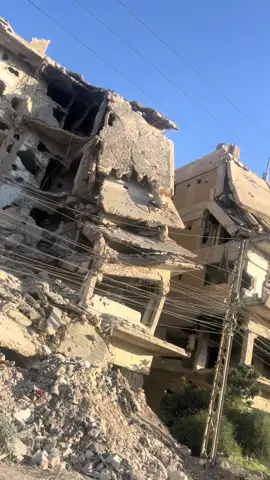 #🇸🇾 #فوريو 