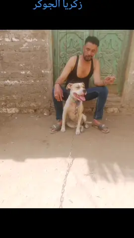 الجوكر 