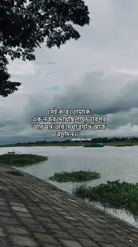 তারপর আর দেখা হয়নি বহুদিন। #foryoupage #foryou #fyp 