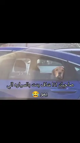 متابعه نصل 10الف متابع #الشعب_الصيني_ماله_حل😂😂 #fyp 