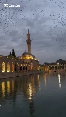 ibrahim içimdeki putları devir elindeki baltayla kırılan putların yerine yenilerini koyan kimgüneş buzdan evimi yıktı koca buzlar düştü putların boyunları kırıldı ibrahim güneşi evime sokan kimasma bahçelerinde dolaşan güzelleri buhtunnasır put yaptı ben ki zamansız bahçeleri kucakladım güzeller bende kaldı ibrahim gönlümü put sanıp kıran kim” #CapCut  #şiirsokakta #ibrahim #şiir #asafhaletçelebi 