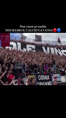 #neiperte #catania🔵🔴 #curvanord #assolutamenteperte #andiamonieperte 