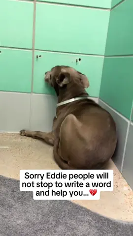 Please help us 😢💔