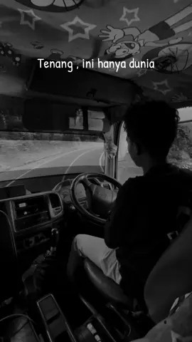 #fyp #drivermuda #trukmaniaindonesia 