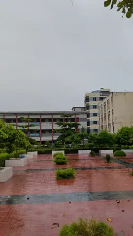 this place😩🌱🌿💚#brahmanbaria #viralvideo #fypシ゚ #foryou #samiharahman 