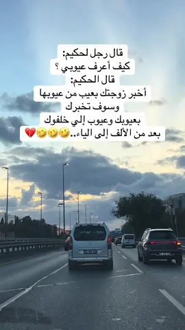 #SarahZTayar 