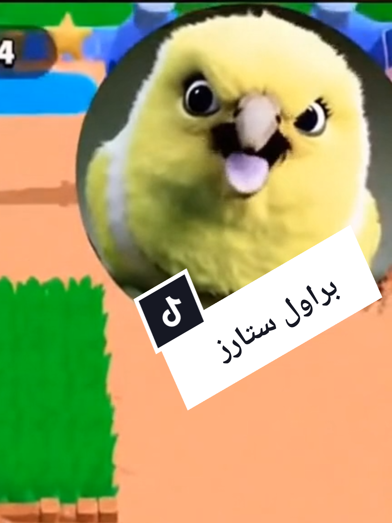 Replying to @user5383585872433 براول ستارز على طلبكم ايش تبون نلعب  #براول_ستارز #fortnite #fyp #sni_ber 