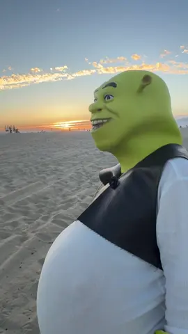 Likeeeee 🧌 #fyp #sherk #sunsets #trend #beach 