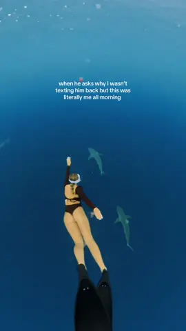 sorry ur dating an ocean lover @insta360 official #fyp #dating #sharks #insta360 #hawaii 