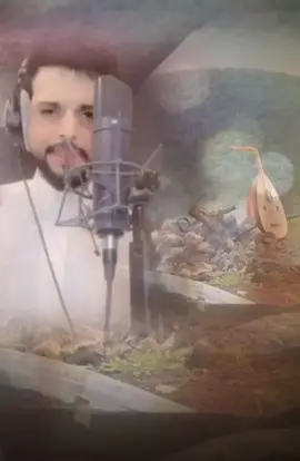 #شيلات_روعه_خواطر_ذوق #foryoupageاكسبلور#شيلات 