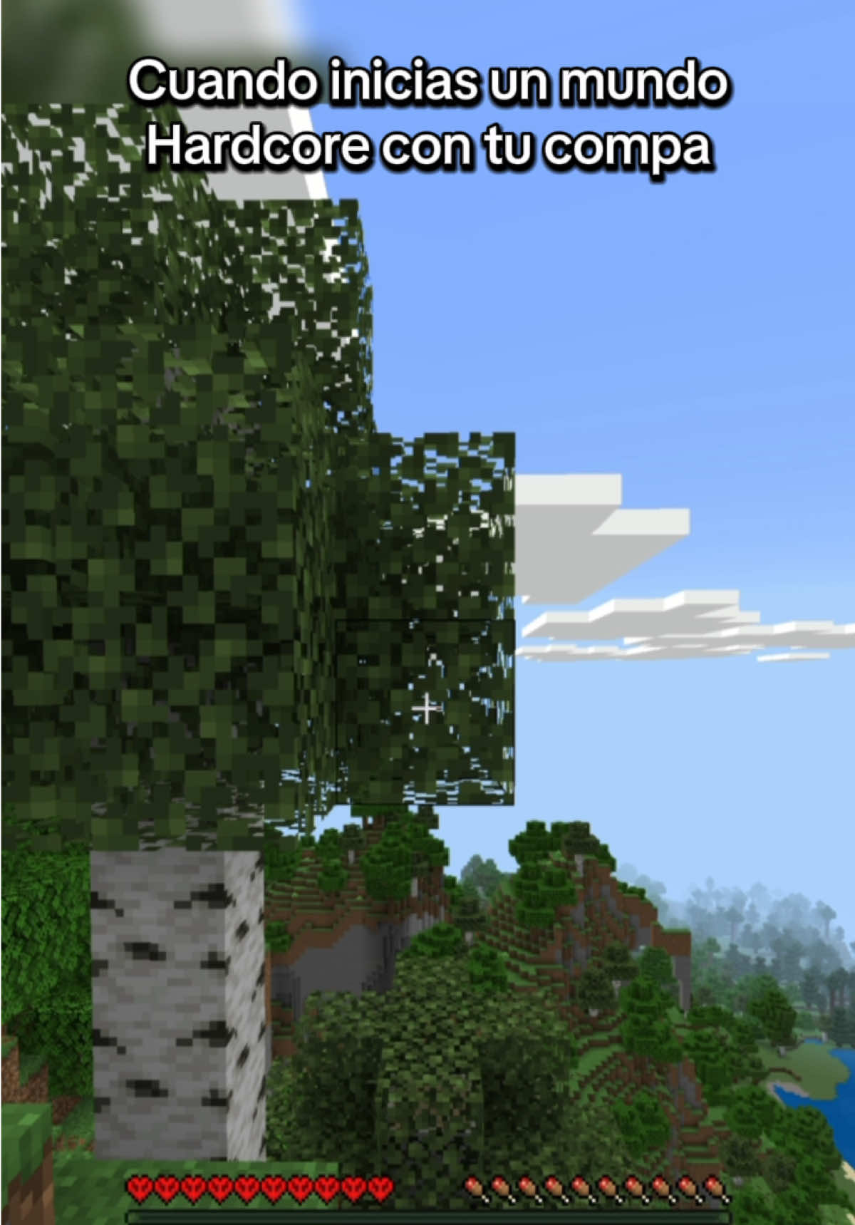 Cuando inicias un mundo hardcore con tu compa 😭#Minecraft #minecraftsurvival #minecraftshorts #minecraftmemes #minecraftbedrock 