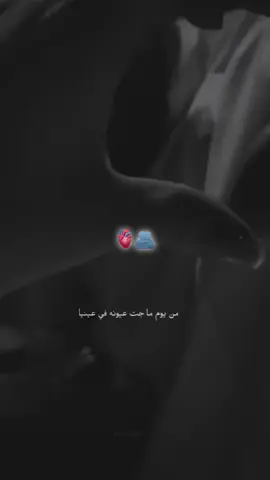 #عطوني_عبارات_حب🥺❤🖇 