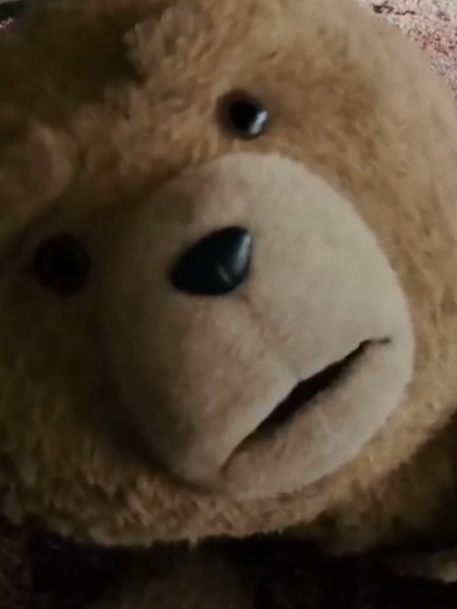 Peluche inquieto 🐻#humor#paranormal#kick