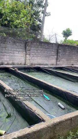 bismillah, semngat baru🦾🤲🏻#petanilele #bibitlele #metrolampung #4u 