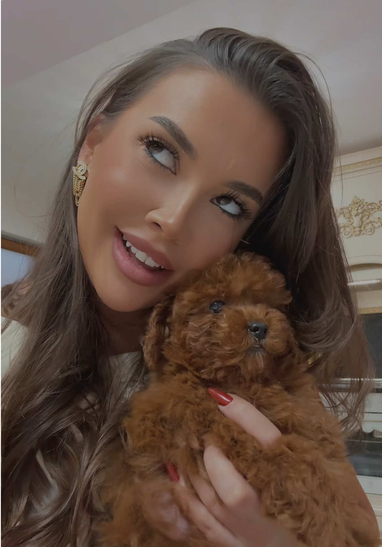 Because luxury isn’t just things… it’s moments like these 🐩🤎🤎 @Pomeranian.Glamour 