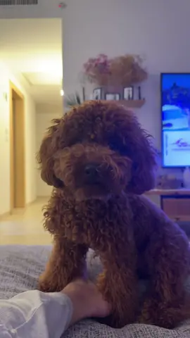 אמא תשרףףףף