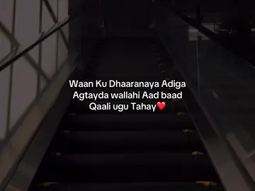 ❤️😭#foryoupage #yopha_1 #viralvideos #fyp 