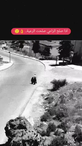 #النقاب_حياء_وعفه_وستر #