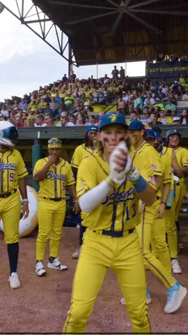 No gloves allowed ❌   - #bananaball #savannahbananas #trickshot #dudeperfect #mlbedit 