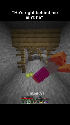 dang #Minecraft #minecraftmemes #minecraftmoment #viral #fyp 
