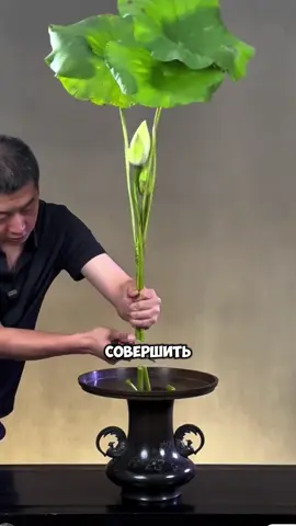 #реддит #советы #reddit #mukbang #fyp 