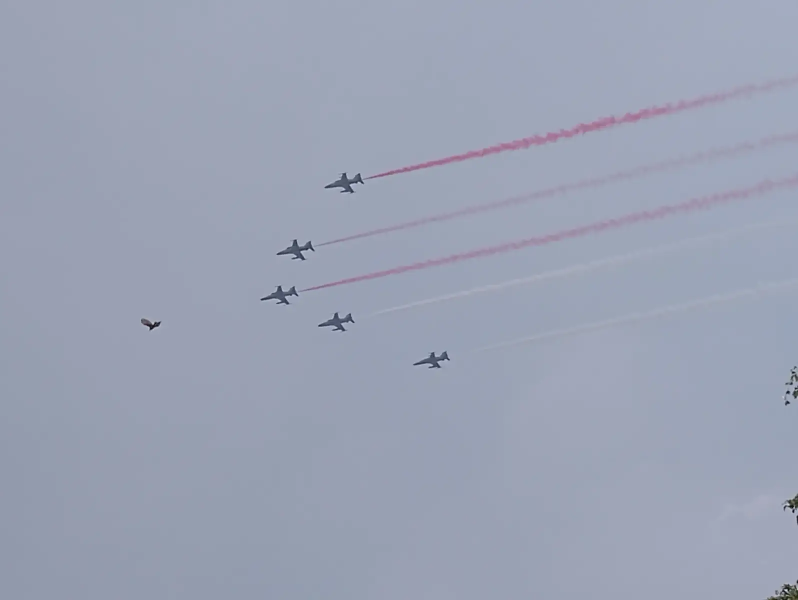 Monas tadi pagi😹😋#f16 #avgeek #f16fighter #monas #fightingfalcon 