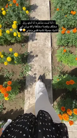 •	أنا لست الأفضل، لكن لي بصمتي الخاصة✨