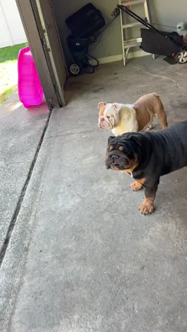 #virallllllll#kimmy#kalimva#paratiiiiiiiiii