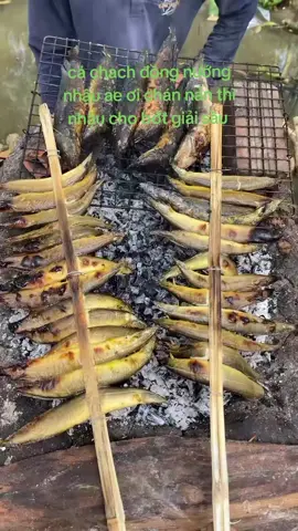 cá trạch đồng nướng nhậu thôi ae oj🥰