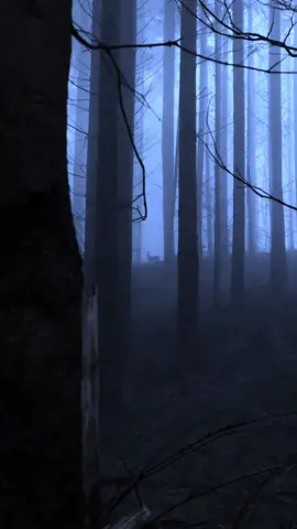 Snowfall 🥀🎧 #aesthetic #forest #dark #vibes #snowfall 