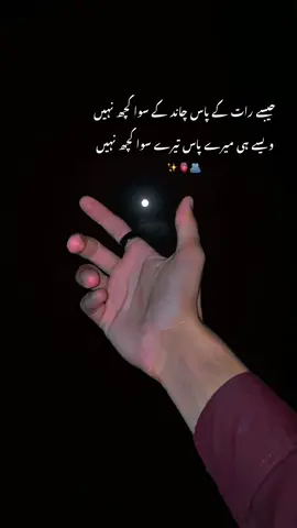 ویسے ہی میرے پاس تیرے سوا کچھ نہیں✨🫀🫂