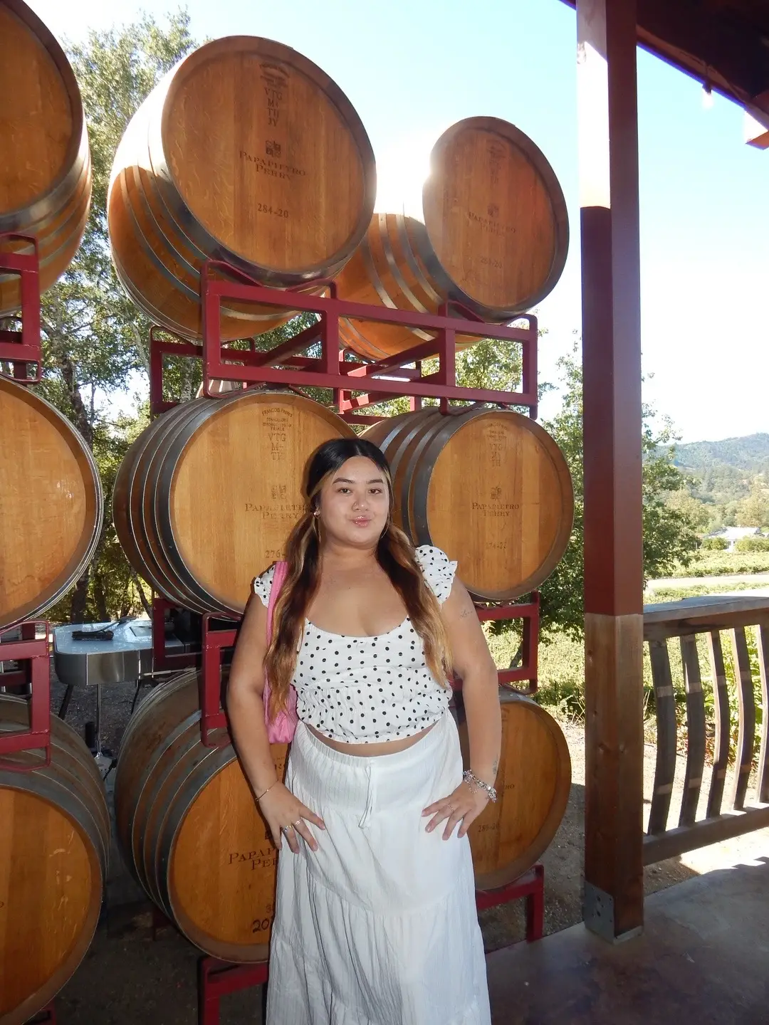 wine drunk with my love @Papapietro Perry Winery 🍇 #winery #wine #papapietroperrywinery #healdsburg #vineyard 