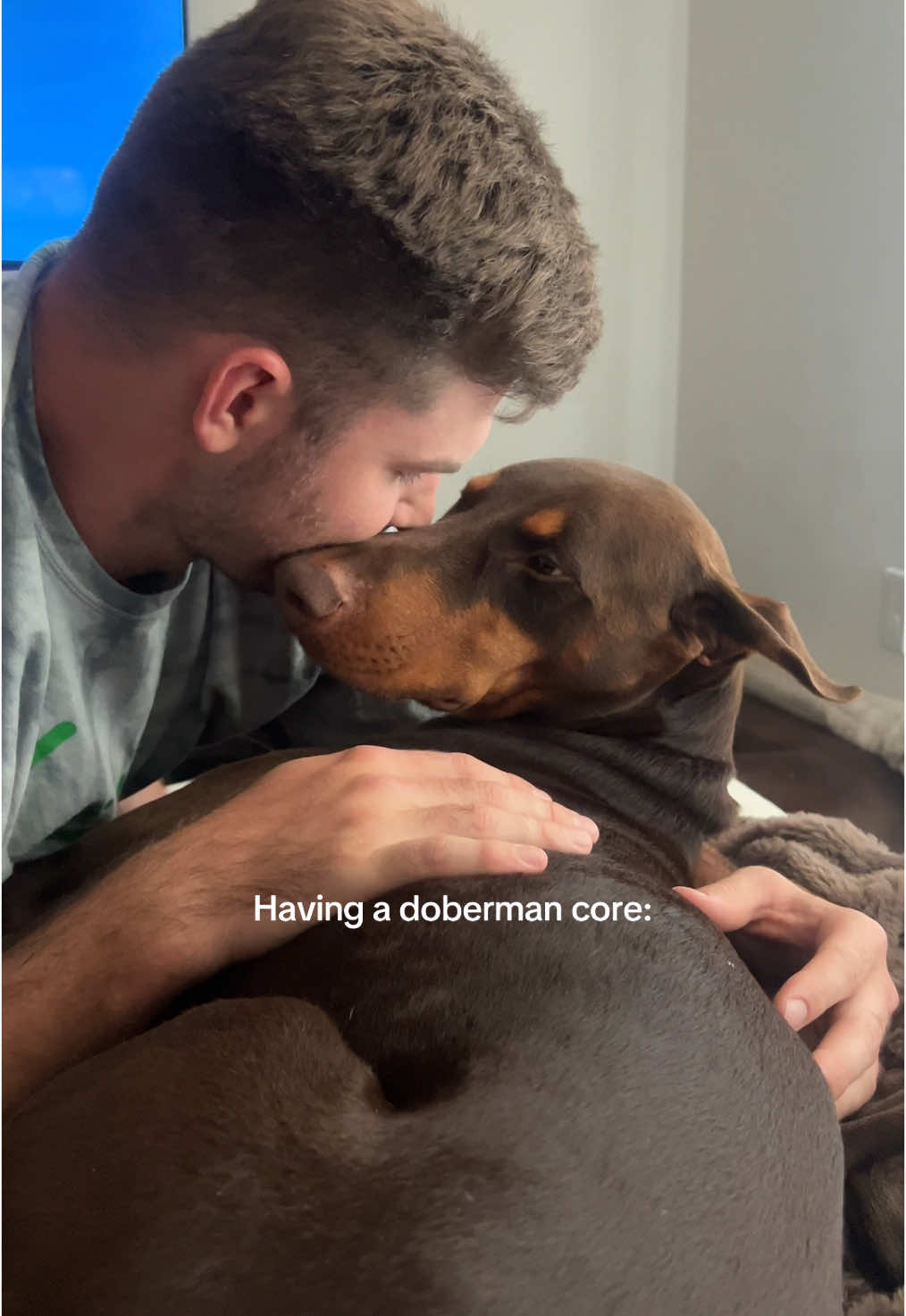 They’re just big babies🥺 #dogsoftiktok #doberman #dobermann #dobermans_of_tiktok #dobermanpinscher #puppy 