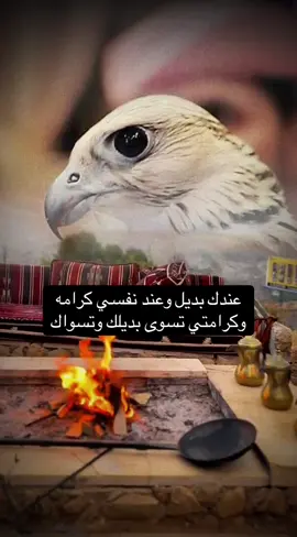 #فلسطين_أحساس_شاعر_لايك_فضلآ_وليس_أمرآ 