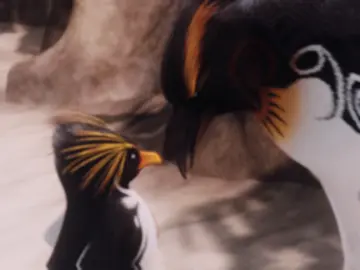 Edit from last year / / dt @Tone / / #edit #surfsup #fyp #foryoupage #fypシ 