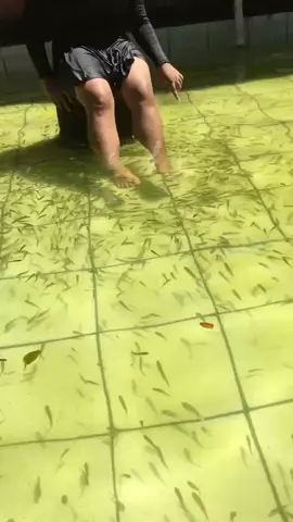 untung masi ada sekali lagi ujian praktek,terakhir renang kita#shs #swimming #foryoupage #4u #fyp 