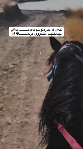 اللەاکبر❤️‍🔥🥀..                                                                             #ئەسپ_سوارەکان #خیل_وخیالە🐎 #asp #acv 