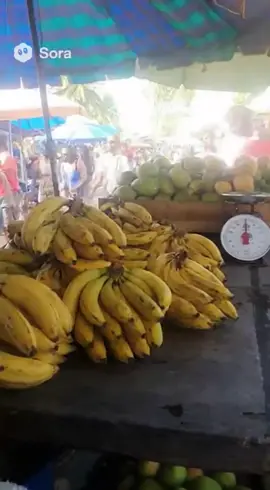 #ai #sora2 #banana #monkey #steal 